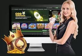 53L Pro VIP membership အထူးဆုကြေးနှင့် exclusive privileges ပြသမှု